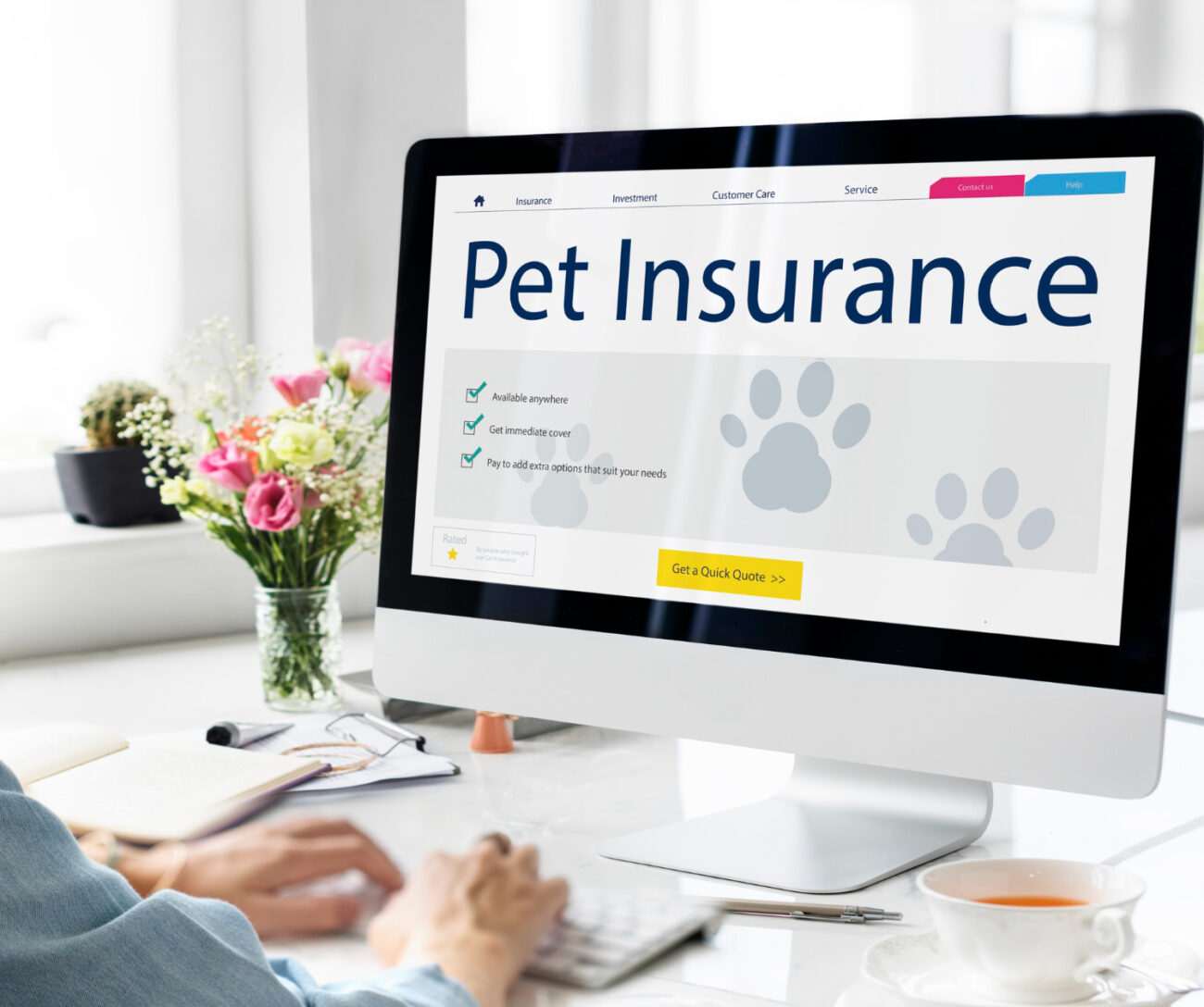 affordable pet insurance