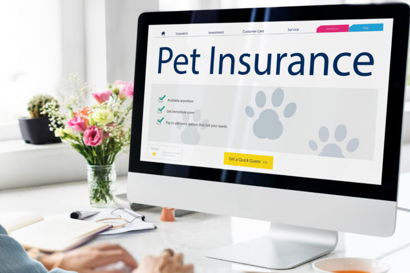 How to Get Affordable Pet Insurance With Full Coverage Today